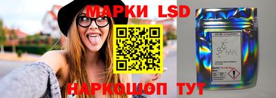 стаф Берёзовский