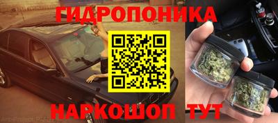 стаф Берёзовский