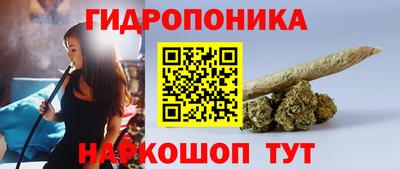 индика Бийск