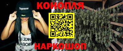 индика Бийск
