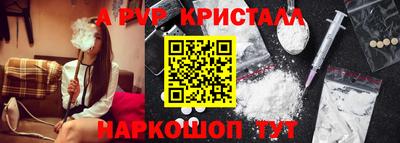 стаф Берёзовский