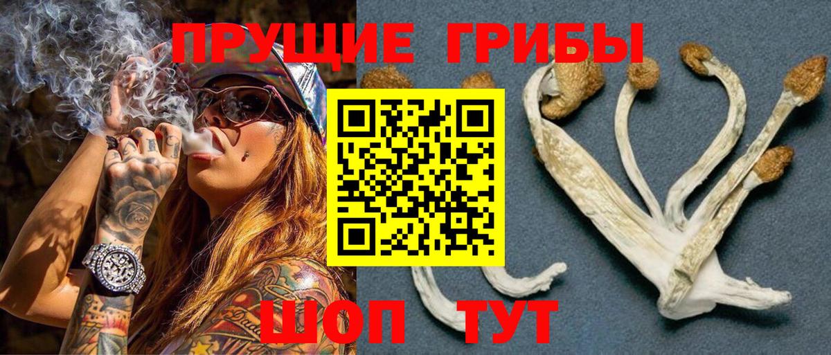 Псилоцибиновые грибы мицелий Кольчугино